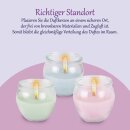 Duftkerzen im Glas "Selection" Mix 12er-Pack Romantic Selection