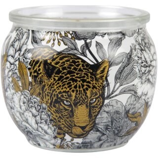 HS Candle Duftkerze im Glas 22h Anti-Tabak ( Ginger Lime )