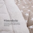 Winter Wende Steppbett Taupe 135x200cm