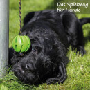 Hunde Spiralball Ø7cm "1er Pack" - Pink