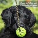 Hunde Spiralball Ø7cm "2er Pack" - Lila