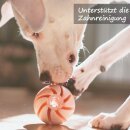 Hunde Spiralball Ø7cm "2er Pack" - Lila