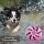Hunde Spiralball Ø7cm "2er Pack" - Lila