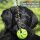 Hunde Spiralball Ø7cm "2er Pack" - Lila