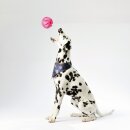 Hunde Spiralball Ø7cm "3er Pack" - Pink