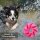 Hunde Spiralball Ø7cm "3er Pack" - Pink