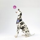Hunde Spiralball Ø7cm "3er Pack" - Lila