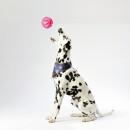 Hunde Spiralball Ø7cm "4er Pack" - Pink