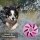 Hunde Spiralball Ø7cm "4er Pack" - Lila
