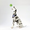 Hunde Spiralball Ø7cm "4er Pack" - Grün