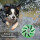 Hunde Spiralball Ø7cm "4er Pack" - Grün