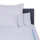 Vierjahreszeitendecke mit blauer Biese