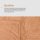 Kuscheldecke 150x200cm "Cashmere Soft-Touch" - Popcorn 150x200cm Caramel