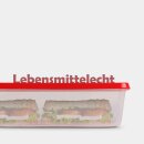 Frischhaltedosen 1,25L - Erdbeere - 20x13cm (3er Pack)