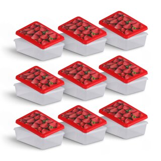 Frischhaltedosen 1,25L - Erdbeere - 20x13cm (9er Pack)