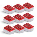 Frischhaltedosen 1,25L - Erdbeere - 20x13cm (9er Pack)