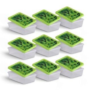 Frischhaltedosen 1,25L - Salat - 20x13cm (9er Pack)