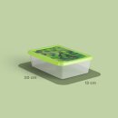 Frischhaltedosen 1,25L - Salat - 20x13cm (9er Pack)