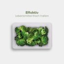 Frischhaltedosen 1,25L - Salat - 20x13cm (9er Pack)