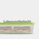 Frischhaltedosen 1,25L - Salat - 20x13cm (9er Pack)