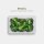 Frischhaltedosen 1,25L - Salat - 20x13cm (9er Pack)
