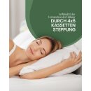 Bettdecke Kassettenbett (4x6) "Tierwohl" Downpass zertfiziert 135x200cm