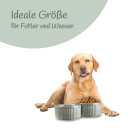 Hundenapf 2er Set (850ml) Grün