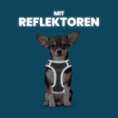 Hundegeschirr
