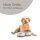 Hundenapf 2er Set (850ml) Grau