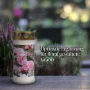Grabkerze mit Blumen Motiv 72h Pfingstrose