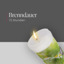 Grabkerze 72h Brenndauer Motiv Gänseblümchen