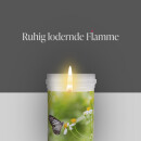 Grabkerze 72h Brenndauer Motiv Gänseblümchen