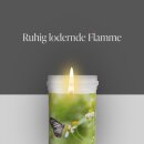 Grabkerze mit Blumen Motiv 72h Gänseblümchen