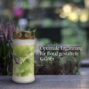 Grabkerze mit Blumen Motiv 72h Gänseblümchen