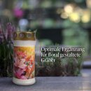 Grabkerze mit Blumen Motiv 72h Kosmosblume