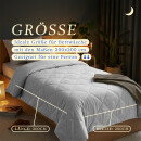 Sommerdecke Steppbett leicht Polyester Hellgrau 200x200 cm