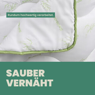 bambus garten kaufen Bambus fr den Balkon kaufen  Green Me Up