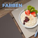 Platzset Tischset in Lederoptik 46x33cm Beige/Braun (Uni) 6er Set