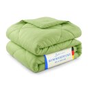 Sommerdecke Steppbett leicht Polyester Apfelgrün...