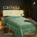 Sommerdecke Steppbett leicht Polyester Mint 200x200 cm