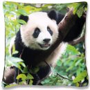 Kissenhülle Fotodruck 40x40 Panda mit Füllung