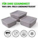 Frischhaltedose eckig 3er-Set Grau