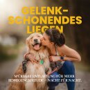 Tierbett für kleine Hunde/Katzen 3D-Pfoten Grau 60x80cm