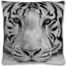 Kissenhülle Fotodruck 40x40 Tiger grey ohne Füllung