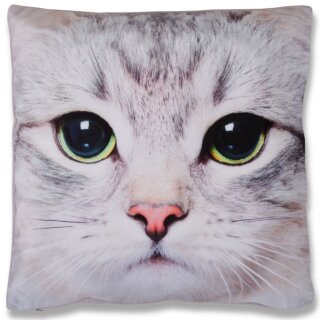Kissenhülle Fotodruck 40x40 Katze mit Füllung