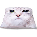 Kissenhülle Fotodruck 40x40 Katze ohne Füllung