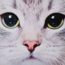 Kissenhülle Fotodruck 40x40 Katze ohne Füllung