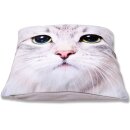 Kissenhülle Fotodruck 40x40 Katze ohne Füllung