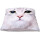 Kissenhülle Fotodruck 40x40 Katze ohne Füllung