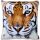 Kissenhülle Fotodruck 40x40 Tiger beige mit Füllung